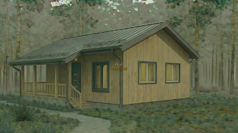 Проект дома Д-165